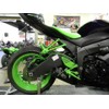 Biker Green Powder Coating Paint 1 LB
