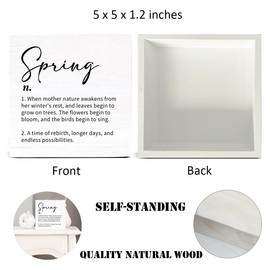 Spring Decor Farmhouse Spring Definition Wood Sign Spring Decorations Country Home Living Room Table Desk Decor (5 x 5 Inches)