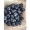 Blueberry Domestic fresh fatigue recovery food 500g 1 unit / 블루베리 국내산 신선한 피로회복 식품 500g 1개