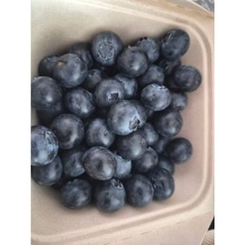 Blueberry Domestic fresh fatigue recovery food 500g 1 unit / 블루베리 국내산 신선한 피로회복 식품 500g 1개