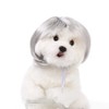 Pet Wig for Cats & Dogs – DIY-Trimmable Curly or