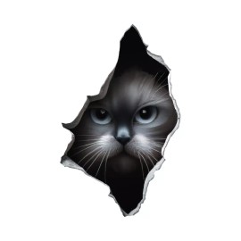 Wilson Graphics Grey Cat Peeking Through Hole in Wall - Wall Decal High Quality Removable Vinyl