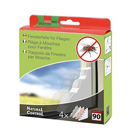 Thekendisplay Fensterfalle, farbig