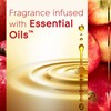 Glade PlugIns Refills Air Freshener Starter Kit, Scented and Essential