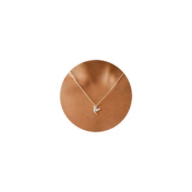 GUOKE Hummingbird Necklace for Women, 14K White Gold Plated Dainty Silver Necklace Simple Jewelry