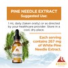 Ascent Nutrition Pine Needle Extract | Contains Naturally Occurring Shikimic