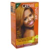 Creme Of Nature Color C41 Honey Blonde Kit (2 Pack)