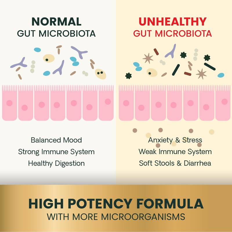 VetriScience Extra Strength Gut Health Easy-Open Capsules, Mega Probiotic and