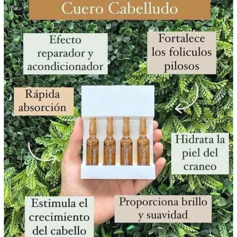 Terramar Mascarilla Y Ampoyetas Original