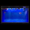 ELEBOX Aquarium Background Blue Black Fish Tank Background Picture 2