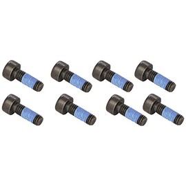 LUK 411012410 Flywheel Screw Set