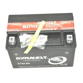 TrailMaster, Hammerhead Hammerhead GTS 150 Battery