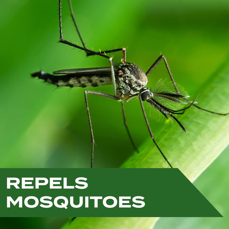 Stem Repels Mosquitoes: Mosquito Repellent Spray With Botanical Extracts; 2