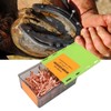 250Pcs Horseshoe Nails Copper Plating Shoeing Nails with Plastic Box