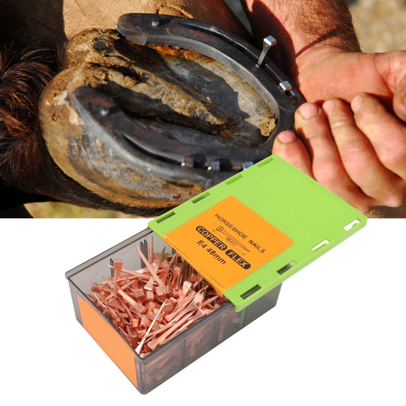 250Pcs Horseshoe Nails Copper Plating Shoeing Nails with Plastic Box