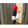 Red-headed woodpecker door knocker