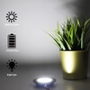 Hoysum 12 Pack 12volt Recessed Lights for RV Interior 2.6