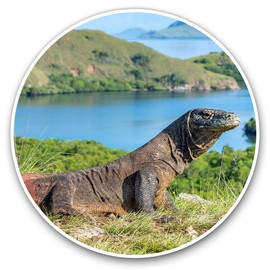 Vinyl Stickers (Set of 2) 10cm - Komodo Dragon Ancient Animal Decals for Laptops,Tablets,Luggage,Scrap Booking,Fridges, #21768