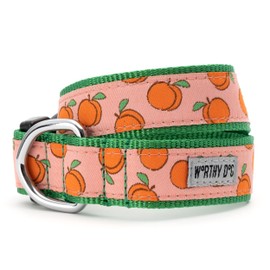The Worthy Dog Peachy Keen Stylish & Durable Dog Collars, Adjustable Nylon Pets Collar with Strong Quick Release Buckle and D-Ring, Fits Large Size Dogs Peach