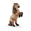 Schleich 41432 Miniature Shetland Pony Family