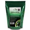 Zokiva Nutritionals Graviola Tea 100 Bags Soursop - Organic Annona