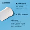 Lubriderm Daily Moisture Hydrating Body and Hand Lotion with Vitamin