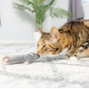 SPOT Flat Mouse Frankie with Catnip - Cat Toy, Fuzzy