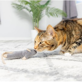 SPOT Flat Mouse Frankie with Catnip - Cat Toy, Fuzzy Mice with Catnip and Crinkle Sound, Perfect Size for Pouncing on, Chasing, Hunting - 5.5in Plush Toys, Assorted Colors