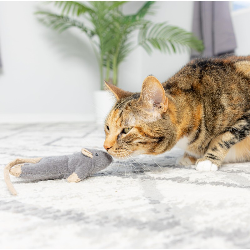 SPOT Flat Mouse Frankie with Catnip - Cat Toy, Fuzzy