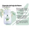 Mandumed Neem Orgánico – Detox, Defensa Inmune y Bienestar General