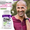 BioHerb Zinc y Magnesio Con Melatonina (180 Capsulas 500mg) |