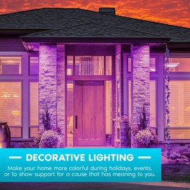 Luxrite A19 LED Purple Light Bulbs, 60W Equivalent, Non-Dimmable, UL Listed, E26 Standard Base, Indoor Outdoor, Porch, Christmas, Decoration, Party, Holiday, Event, Home Lighting