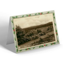 CHRISTMAS CARD - Vintage Hampshire - Among Bracken and Gorse in the New Forest