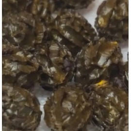 trustin G form Papaya fruit tree 100 + seeds