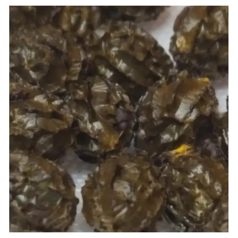 trustin G form Papaya fruit tree 100 + seeds