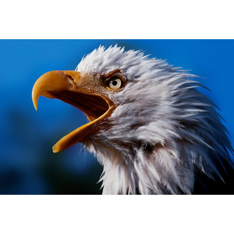 Alaska & Kanadas Westen - der Ruf der Wildnis