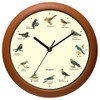 Belinlen Singing Bird Wall Clock 12 Inch of The Bird
