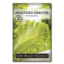 Sow Right Seeds - Greenwave Mustard Greens Seed for Planting - Non-GMO Heirloom Packet with Instructions to Plant and Grow an Outdoor Home Vegetable Garden - Culinary Herb - Wonderful Gardening Gift
