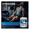 Aminoacidos Bcaa Powder Gat Sport 50 Servicios