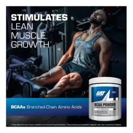 Aminoacidos Bcaa Powder Gat Sport 50 Servicios                                                                                                        