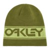 Oakley Men's Thermonuclear Protection Reversible Beanie, Fern/Light Green, One Size