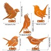 BSTDAYEVER Rust Birds Pack of 5 Metal Bird Reusable Rust