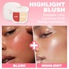 MIESCHER 2 in 1 Pearl Blush Blendable Highlights, Blush+Highlight Sea
