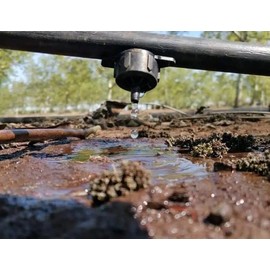 Self Balancing Drips 2 Litres per Hour Dripper Bottle for Agricultural Watering and Gardening Working Pressure 0.5 to 3.5 Bar Pack of 100 Drops