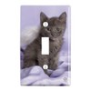 GRAPHICS & MORE Domestic Shorthair Kitten Cat Angel Wings Purple