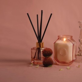 Paddywax Botanica Scented Oil Diffuser with Reeds in Reusable Pink Glass Bottle, Tubed Gift Box, Includes Diffuser Sticks, Long-Lasting Fragrance, Reusable & Upcyclable, Saffron Rose, 2.8 fl oz