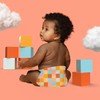 Hello Bello Premium Diapers Size 6, Honeysuckle Designs, 42ct Club