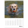 Glücklicher Golden Retriever (Tischkalender 2026 DIN A5 hoch), CALVENDO Monatskalender: