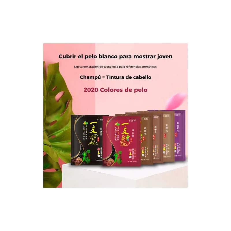 Paquete 10 Piezas Shampoo Tinte Instantaneo 15min Cubre Cana
