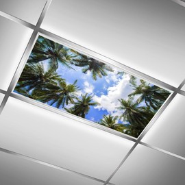 QOROL 2PCS Fluorescent Light Covers for Classroom Ceiling Lights Magnetic Light Covers,Fluorescent Light Filters for School Home Office Drop Ceiling Lamp Decor Light Filters(Palm)